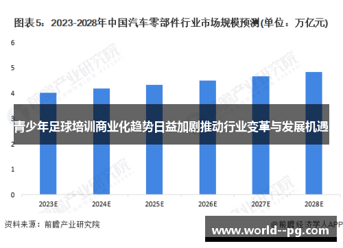 青少年足球培训商业化趋势日益加剧推动行业变革与发展机遇 青少年足球培训商业化趋势日益加剧推动行业变革与发展机遇
