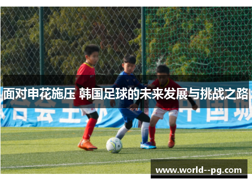 面对申花施压 韩国足球的未来发展与挑战之路