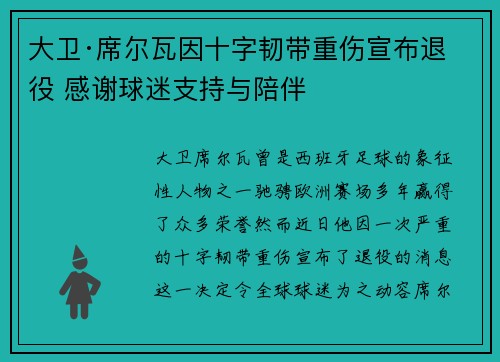大卫·席尔瓦因十字韧带重伤宣布退役 感谢球迷支持与陪伴