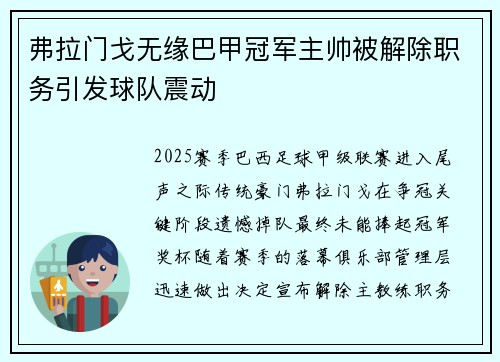 弗拉门戈无缘巴甲冠军主帅被解除职务引发球队震动 弗拉门戈无缘巴甲冠军主帅被解除职务引发球队震动